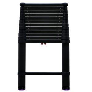 16 TELESCOPING LADDER
